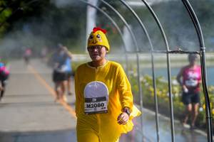 BIB: 
                            <button type="button" onclick="openModal(26544478)" class="btn btn-primary btn-sm float-right btn-popup" data-toggle="modal" data-target=".modal-high-quality">
                        <i class="fas fa-shopping-cart"></i> Add to Cart
                    </button>
                                            <button type="button" onclick="isThisMe(26544478, true)" class="btn btn-success btn-sm float-right btn-popup btn-isme hidden" data-toggle="tooltip" data-placement="bottom" title="นี่คือรูปของคุณใช่ไหม คลิกที่นี่เพื่อเอาเข้าอัลบั้ม">
                        <i class="fas fa-plus"></i> Add to album
                    </button>
                    <button type="button" onclick="isThisMe(26544478, false)" class="btn btn-warning btn-sm float-right btn-popup btn-isnotme hidden">
                        <i class="fas fa-ban"></i> Remove from album
                    </button>